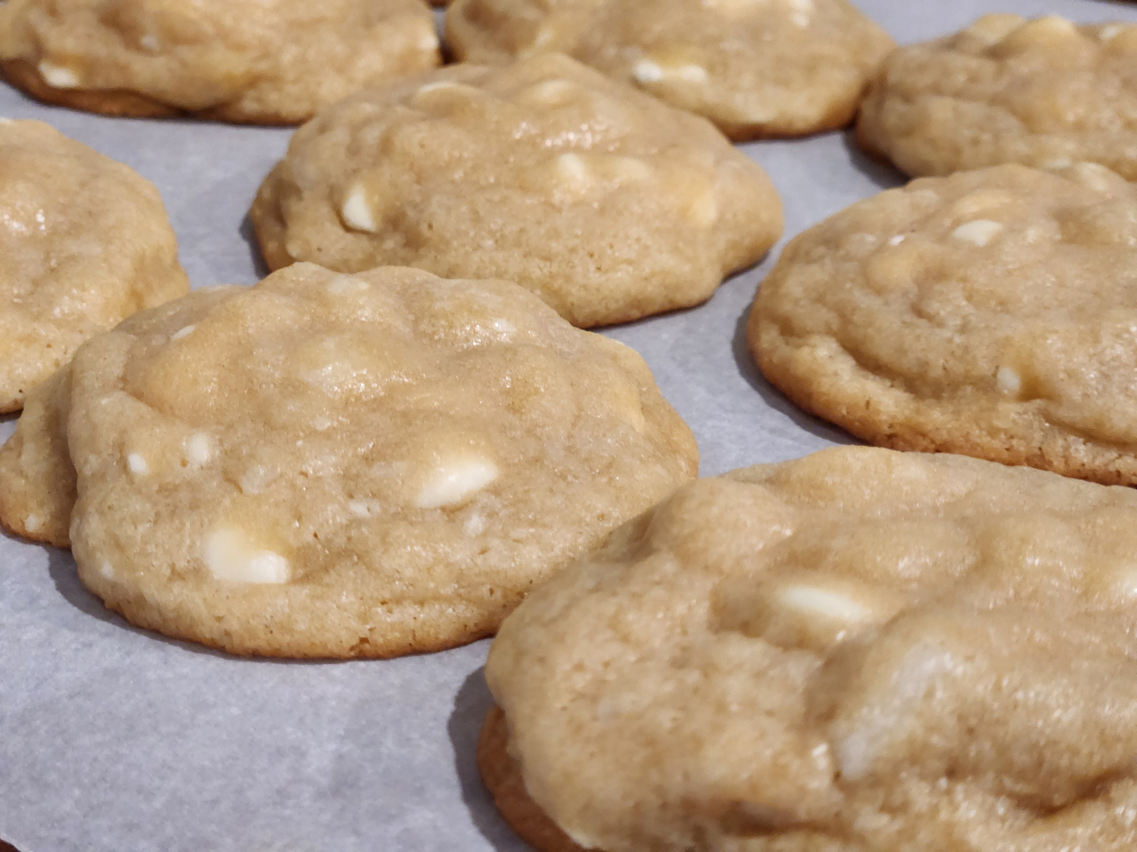 Half Dozen White Chocolate Macadamia